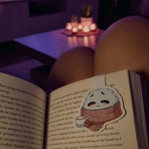 Magnetisches Lesezeichen